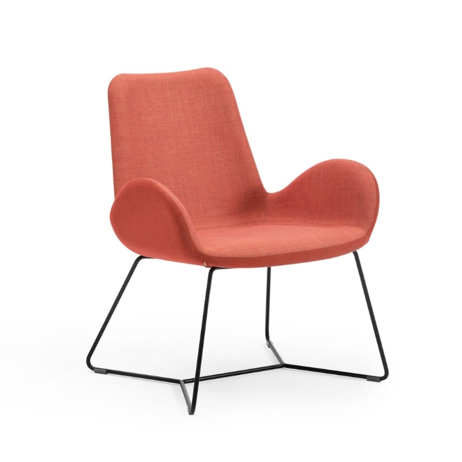 Poltrona lounge Dalia Midj