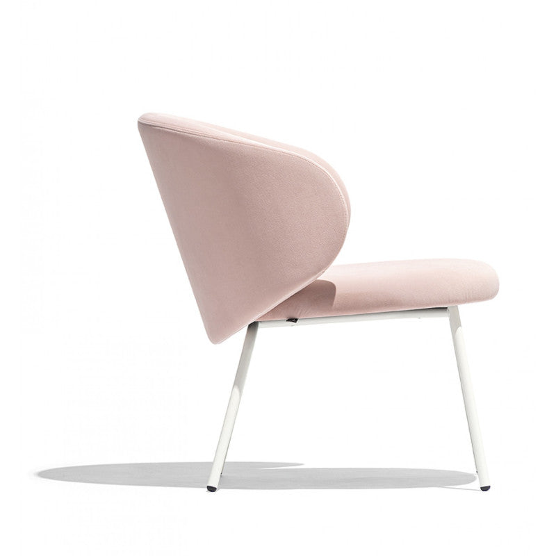 Poltroncina Tuka Lounge - Connubia