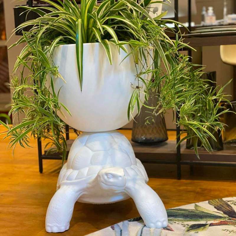 Turtle Carry Planter - Qeeboo