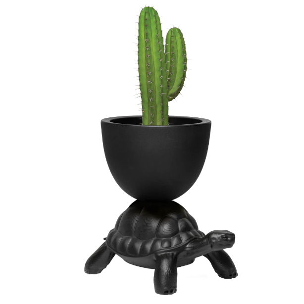 Turtle Carry Planter - Qeeboo
