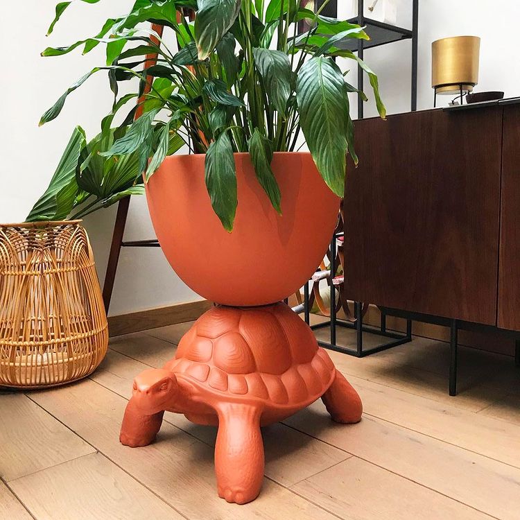 Turtle Carry Planter - Qeeboo