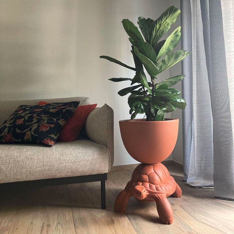 Turtle Carry Planter - Qeeboo