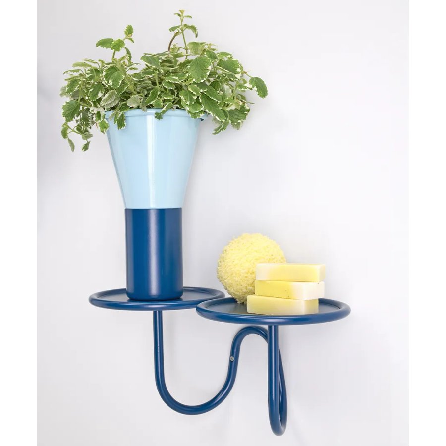 Vaso Mimosa Scab Design