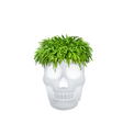Fioriera Mexico LED Qeeboo