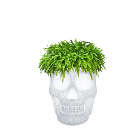 Fioriera Mexico LED Qeeboo