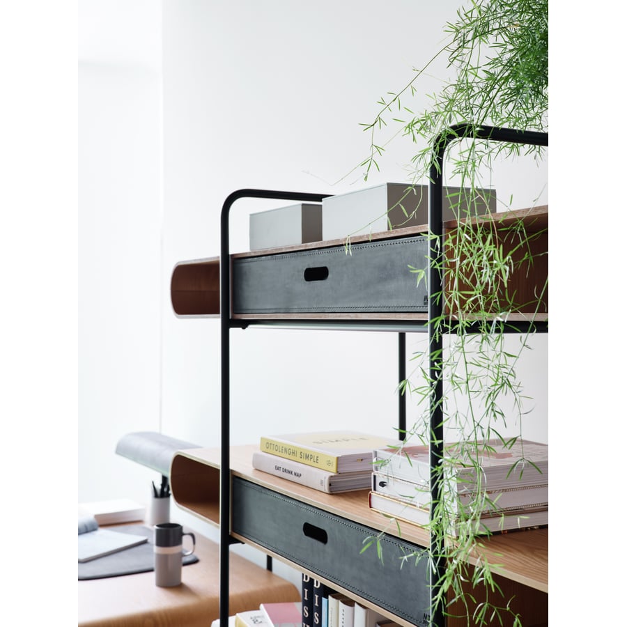 Libreria Apelle Midj