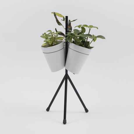 Window Garden Table Danese Milano, sistema di vasi per coltivazione idroponica di BIG - Bjarke Ingels Group