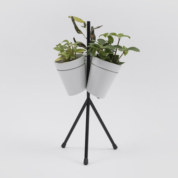 Window Garden Table Danese Milano, sistema di vasi per coltivazione idroponica di BIG - Bjarke Ingels Group